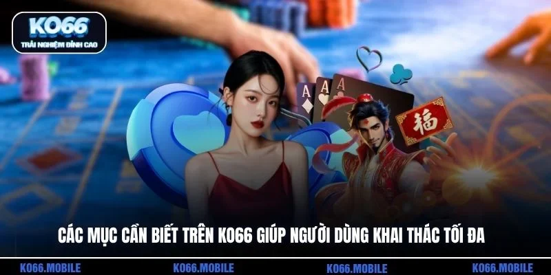 Các mục cần biết trên KO66 giúp người dùng khai thác tối đa 