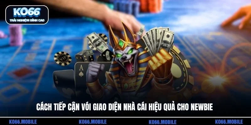 Cách tiếp cận vói giao diện nhà cái hiệu quả cho newbie