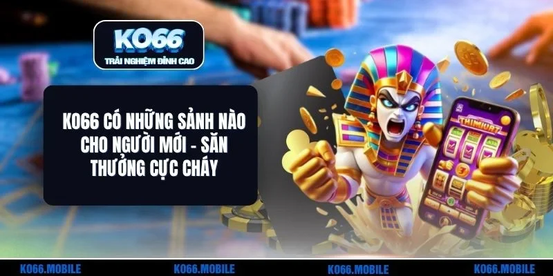 KO66 Có Những Sảnh Nào Cho Người Mới - Săn Thưởng Cực Cháy