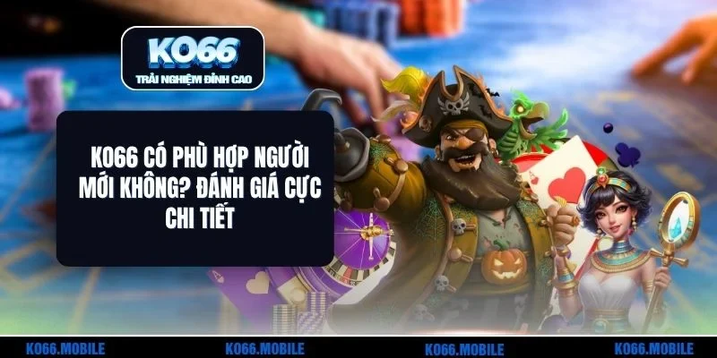 KO66 Có Phù Hợp Người Mới Không? Đánh Giá Cực Chi Tiết