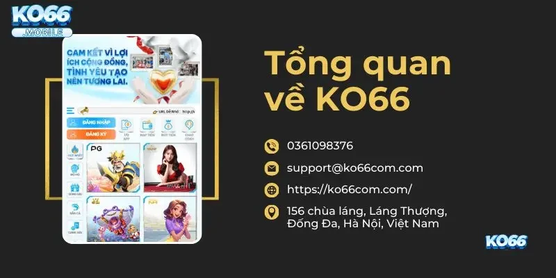 Đặc quyền dành cho thành viên VIP và các sự kiện tri ân độc quyền